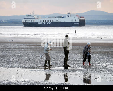 Crosby, UK. 20. Sep, 2016. Großbritannien Wetter. Hellen und sonnigen Nachmittag am Crosby Strand Merseyside. UK 20. September 2016. Bildnachweis: ALAN EDWARDS/Alamy Live-Nachrichten Stockfoto