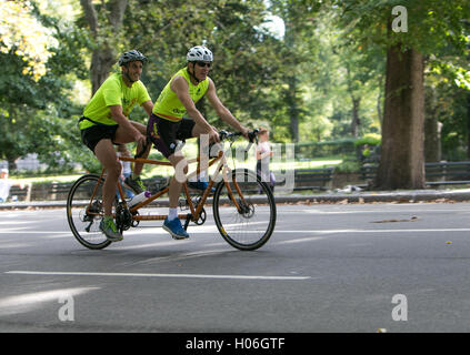 Zwei Männer fahren mit einem Tandem-Fahrrad im Central Park. Stockfoto