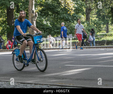 Ein Mann mit einem großen Bart reitet einen citibike im Central Park. Stockfoto