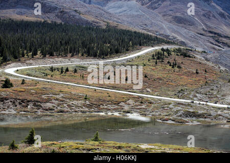 Columbia Eisfeldern, Jasper Nationalpark, Alberta, Kanada Stockfoto