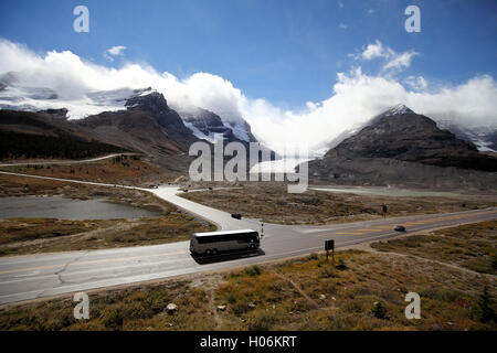 Columbia Eisfeldern, Jasper Nationalpark, Alberta, Kanada Stockfoto