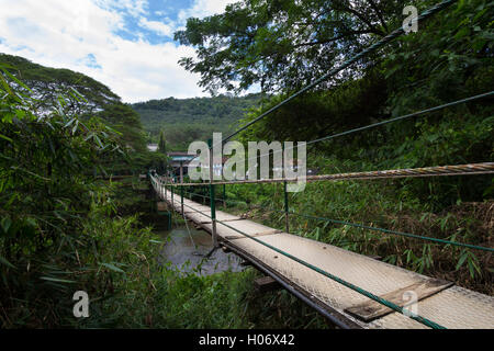 Eine Hängebrücke in Kerala, Indien, Asien Stockfoto