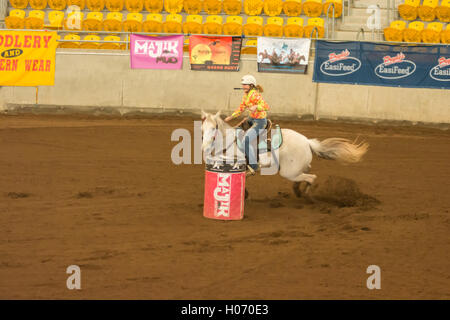 Barrel Racing auf einer Indoor Arena.Young Mädchen reiten mit Peitsche im Mund. Tamworth, Australien. Stockfoto