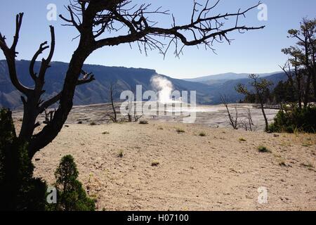 Dampf-Themen aus thermisch aktiven Formationen in den oberen Terrassen in Mammoth Hot Springs, Yellowstone-Nationalpark Stockfoto