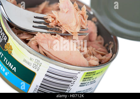 Tin von Flake Stück Thunfisch Thunfisch kann Stockfoto