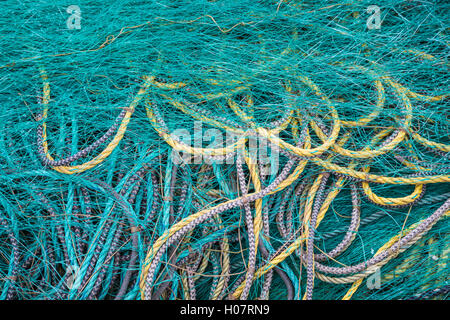 Unmengen von bunten Fischen Seil und Net am Forellenfluss, Neufundland und Labrador, Kanada. Stockfoto