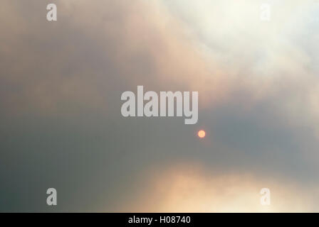 Sonne durch Rauch von Waldbrand in Colorado Bergen gesehen Stockfoto