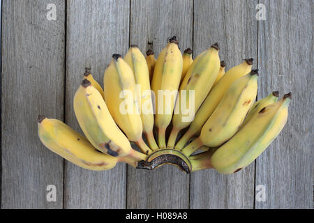 Ducasse Bananen oder auch bekannt als Musa Acuminata, Zucker Bananen auf Holzbrett Stockfoto