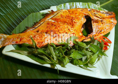 Einhorn-Lederjacke-Fisch mit Chili-Salz gegrillt Stockfoto