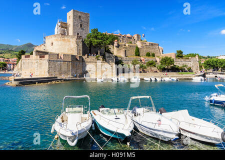 Das Château Royal mit Blick auf den kleinen Hafen von Collioure, Côte Vermeille, Frankreich Stockfoto