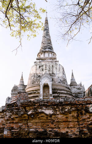 Stupa (Chedi) im Wat Mahathat, Ayutthaya, UNESCO World Heritage Site, Thailand, Südostasien, Asien Stockfoto