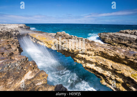 Wellen in den natürlichen Bögen der Kalkstein Teufels Brücke, Antigua, Antigua und Barbuda, Leeward-Inseln, West Indies, Caribbean Stockfoto