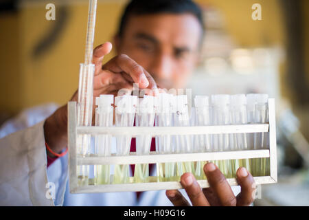 Eine Laborantin arbeiten in einem Labor in einem kleinen Krankenhaus in Nepal hält eine Rack mit Reagenzgläsern, Jiri, Solu Khumbu, Nepal, Asien Stockfoto