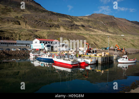 Die Fischerei Port Nordurfjordur, Arneshreppur, Westfjorde, Island, Polarregionen Stockfoto