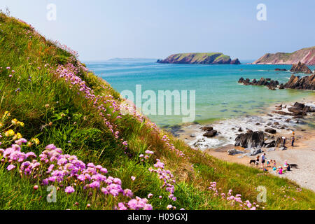 Marloes Sands, Pembrokeshire, Wales, Vereinigtes Königreich, Europa Stockfoto