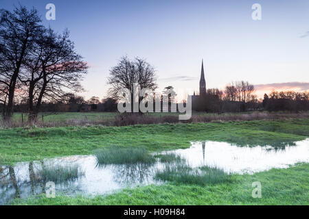 Salisbury Kathedrale, gebaut im 13. Jahrhundert im gotischen Stil, der höchste Turm in England, Salisbury, Wiltshire, UK Stockfoto