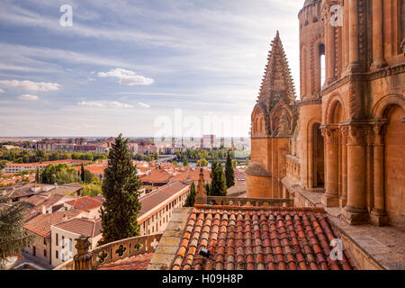 Die Kathedrale von Salamanca, UNESCO-Weltkulturerbe, Kastilien und Leon, Spanien, Europa Stockfoto