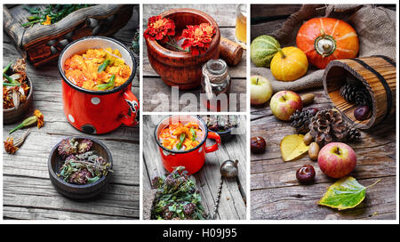 Collage mit Herbst Äpfel, Kürbisse und Tee Heilkräuter Stockfoto