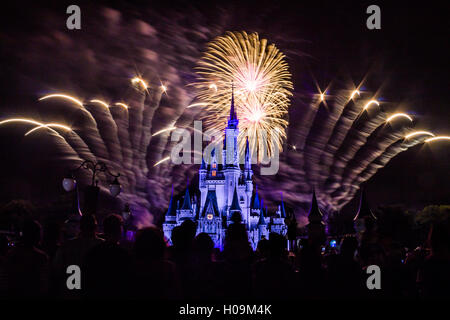 Bild des Schlosses Magic Kingdom Park mit Feuerwerk im Hintergrund Stockfoto