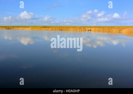 Cumulus Wolken im Wasser spiegelt, Leyhörner Sieltief, Greetsiel, Nordsee, Niedersachsen, Deutschland Stockfoto