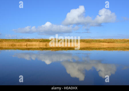 Cumulus Wolken im Wasser spiegelt, Leyhörner Sieltief, Greetsiel, Nordsee, Niedersachsen, Deutschland Stockfoto