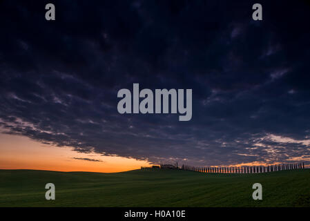 Toskanische Landschaft mit Zypressen und Farmstead bei Sonnenaufgang, Dämmerung, San Quirico d'Orcia, Val d'Orcia, Toskana, Italien Stockfoto