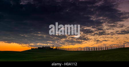 Toskanische Landschaft mit Zypressen und Farmstead bei Sonnenaufgang, Dämmerung, San Quirico d'Orcia, Val d'Orcia, Toskana, Italien Stockfoto