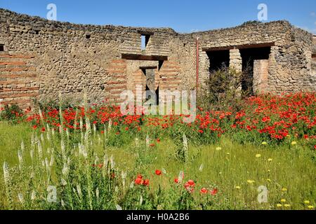 Ruinen einer Villa, antike Stadt Pompeji, Kampanien, Italien Stockfoto