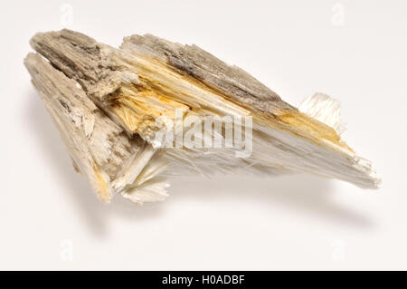 Wollastonit Kristalle (Kalzium Inosilicate - CaSiO3) aus Madagaskar. Benannt nach dem englischen Mineralogen William Hyde Wollaston. Stockfoto