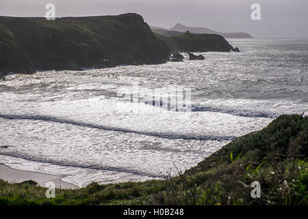 Traethllyfn zwischen Abereiddy und Porthgain auf der Küste von Pembrokeshire, Wales, UK. Auch bekannt als Barry Island Beach. Stockfoto