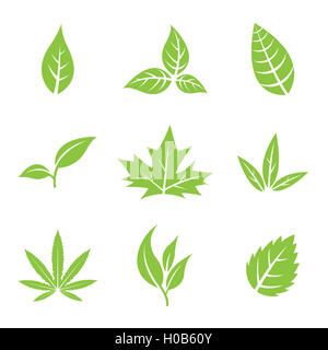 Vektor Illustration of Green Leaves isoliert auf weiss Stockfoto