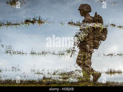 Spiegelbild im Wasser des US-Marine Rekruten marschieren in taktische Ausbildung bei der Marine Corps Recruit Depot 3. Dezember 2015 in Parris Island, South Carolina. Stockfoto