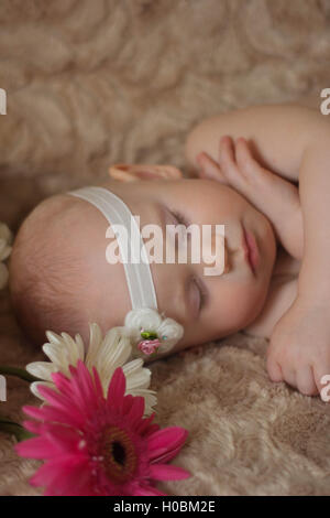 Schlafendes Baby in den Blumen Stockfoto