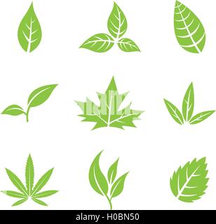 Vektor Illustration of Green Leaves isoliert auf weiss Stock Vektor