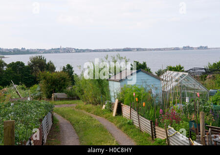 Kleingärten, Devon, UK Stockfoto