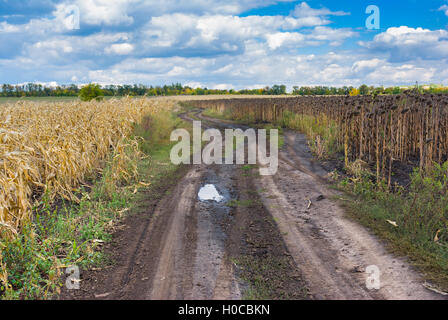 Spätsommer-Landschaft mit Erde Straße zwischen Mais und Sonnenblumen-Felder in die Zentralukraine Stockfoto