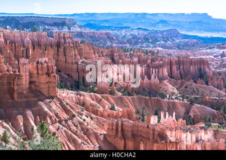 Bryce Canyon Amphitheater, Utah Stockfoto