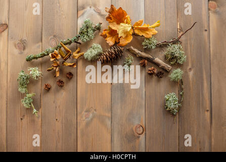 Top-down-Bild von einer Auswahl von Artikeln gesammelt auf einem herbstlichen Waldspaziergang auf Holztisch mit textfreiraum für text Stockfoto