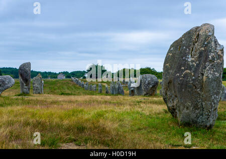 Carnac Ausrichtung Stockfoto