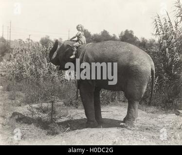 Seitenansicht des kleinen Jungen sitzen auf Elefanten Stockfoto