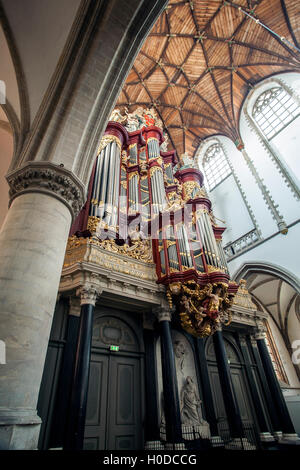 Interieur und Müller-Orgel, St., Bavo-Kirche (Grote Kerk), Haarlem, Niederlande Stockfoto