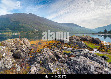 Ein nebliger Morgen am Ufer des Loch Duich in den Highlands von Schottland Stockfoto