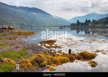 Loch Duich in den Highlands von Schottland Stockfoto