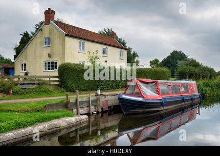 Bridgwater & Taunton Kanal an Bankland in Somerset Stockfoto