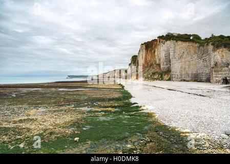 Yport und Fecamp, Normandie. Strand, Klippen und Felsen im Meer bei Ebbe. Frankreich, Europa. Stockfoto