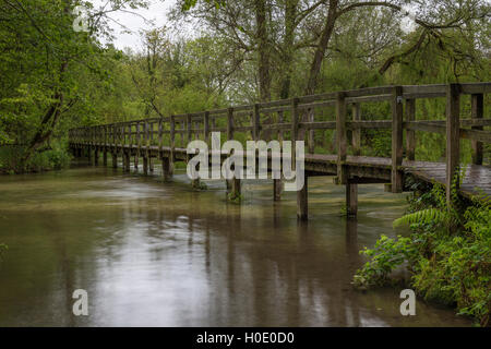 Fußgängerbrücke über den Fluss-Test in der Nähe von Wherwell, Hampshire. England. UK Stockfoto