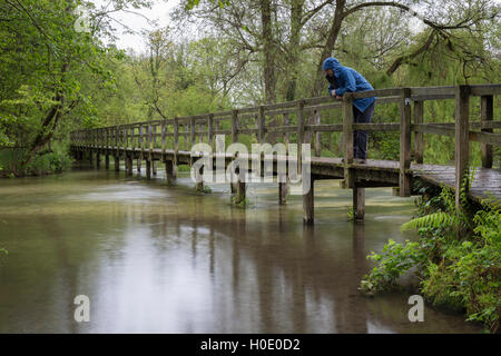 Fußgängerbrücke über den Fluss-Test in der Nähe von Wherwell, Hampshire. England. UK Stockfoto