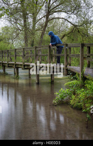 Fußgängerbrücke über den Fluss-Test in der Nähe von Wherwell, Hampshire. England. UK Stockfoto