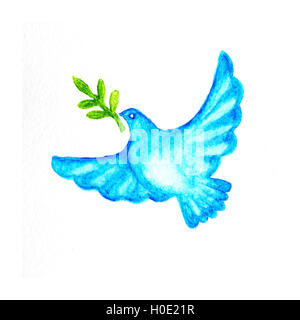 Blaue Taube mit grünen Olivenzweig Aquarell Bleistifte zeichnen Stockfoto