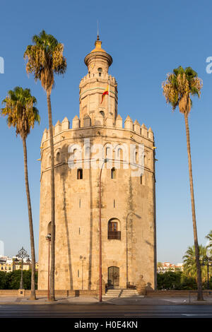 Der Torre del Oro (Turm des Goldes), Sevilla, Andalusien, Spanien Stockfoto